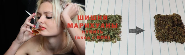 spice Медногорск