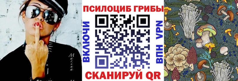 мориарти как зайти  omg зеркало  Черняховск  закладка  Псилоцибиновые грибы Magic Shrooms 